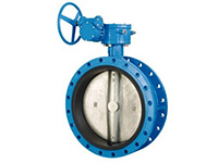 D341X worm wheel flange type soft seal butterfly valve