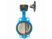 D371J, D371X, D371J (full liner) worm gear pair of rubber lined butterfly valve